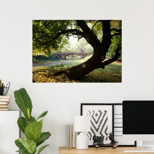 Boom en brug in het centrale park poster (Thuiskantoor)