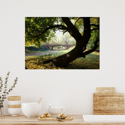 Boom en brug in het centrale park poster (Keuken)
