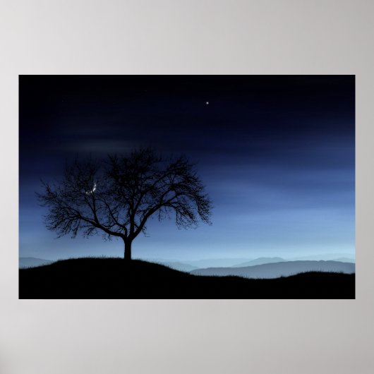 Boom en maan poster (Voorkant)