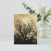 boom en sky sepia briefkaart (Staand voorkant)