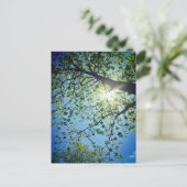 Boom- en Sun-Briefkaart Briefkaart (Staand voorkant)
