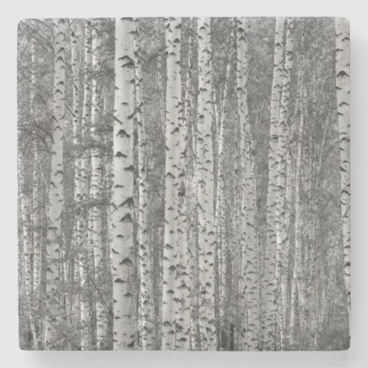 Boom- en vogelbos- stenen onderzetter (Voorkant)