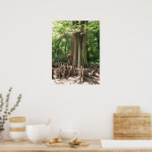Boom en wortels poster (Keuken)