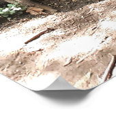 Boom en wortels poster (Hoek)