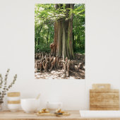Boom en wortels poster (Keuken)