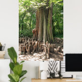 Boom en wortels poster (Thuiskantoor)