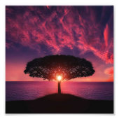 Boom en zon foto afdruk (Voorkant)