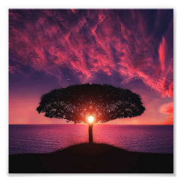 Boom en zon foto afdruk