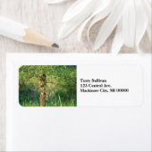 Boom Etiket (Insitu)