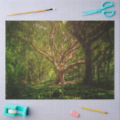Boom Fantasy Forest Gothic 20x30-decoupage Tissuepapier (Craft)