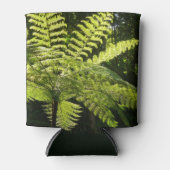 Boom Fern in het regenwoud Blikjeskoeler (Voorkant)