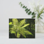 Boom Fern in het regenwoud Briefkaart (Staand voorkant)