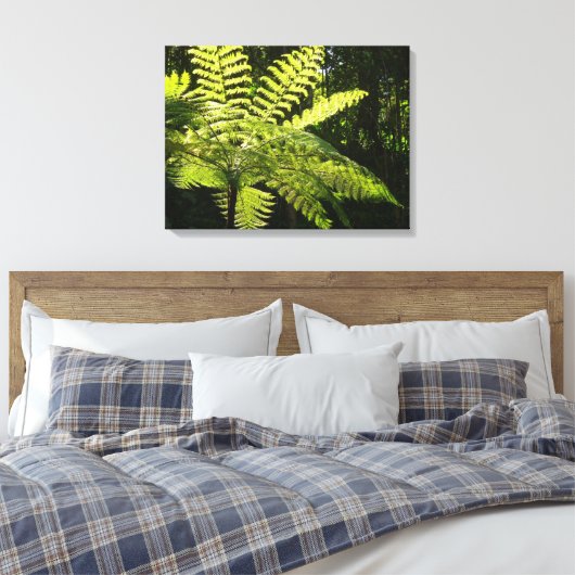 Boom Fern in het regenwoud Canvas Afdruk (Insitu (Slaapkamer))