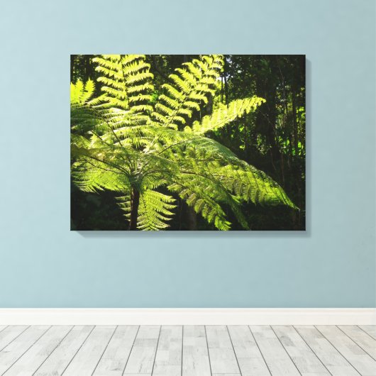 Boom Fern in het regenwoud Canvas Afdruk (Insitu (Houten vloer))