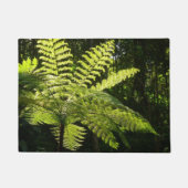Boom Fern in het regenwoud Deurmat (Voorkant)
