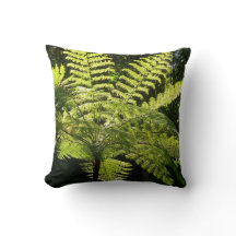 Boom Fern in het regenwoud