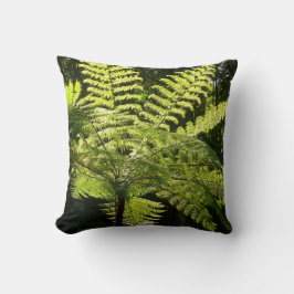 Boom Fern in het regenwoud Kussen