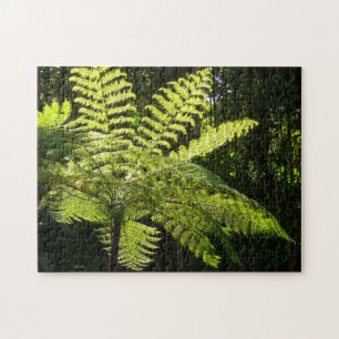 Boom Fern in het regenwoud Legpuzzel
