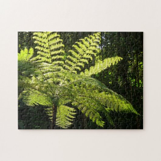Boom Fern in het regenwoud Legpuzzel (Horizontaal)