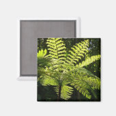 Boom Fern in het regenwoud Magneet (Voorkant / Achterkant)