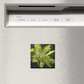 Boom Fern in het regenwoud Magneet (Insitu (Vaatwasser))