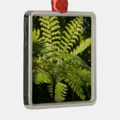 Boom Fern in het regenwoud Metalen Ornament (Rechts)
