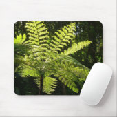 Boom Fern in het regenwoud Muismat (Met muis)