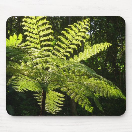Boom Fern in het regenwoud Muismat (Voorkant)
