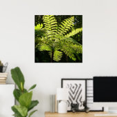 Boom Fern in het regenwoud Poster (Thuiskantoor)