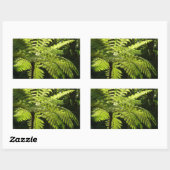 Boom Fern in het regenwoud Rechthoekige Sticker (Vel)