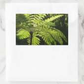 Boom Fern in het regenwoud Rechthoekige Sticker (Tas)
