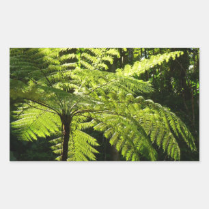 Boom Fern in het regenwoud Rechthoekige Sticker