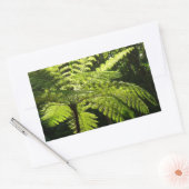 Boom Fern in het regenwoud Rechthoekige Sticker (Envelop)