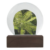 Boom Fern in het regenwoud Sneeuwbol (Achterkant)