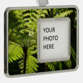 Boom Fern in het regenwoud Verzilverd Omlijst Ornament (Rechts)