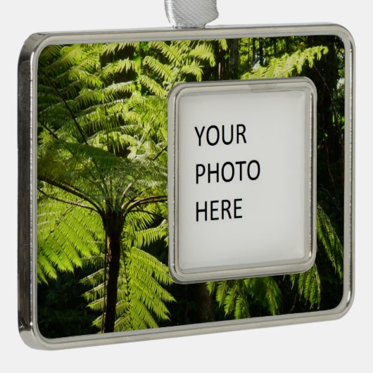 Boom Fern in het regenwoud Verzilverd Omlijst Ornament (Rechts)