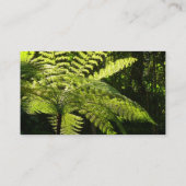 Boom Fern in het regenwoud Visitekaartje (Achterkant)