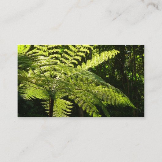 Boom Fern in het regenwoud Visitekaartje (Achterkant)