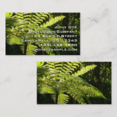 Boom Fern in het regenwoud Visitekaartje (Voorkant / Achterkant)