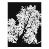 boom foto afdruk (Voorkant)