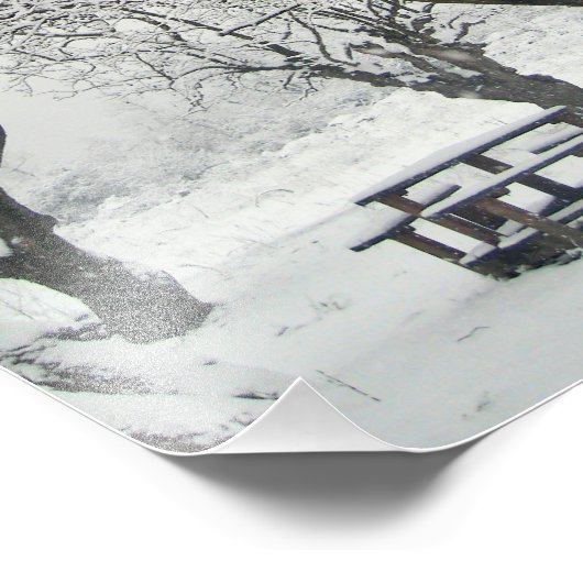 boom foto afdruk (Hoek)