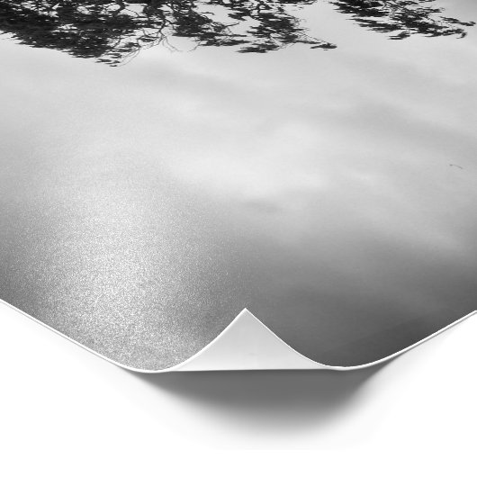 Boom Foto Afdruk (Hoek)