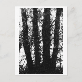Boom fotografie - Arden Briefkaart