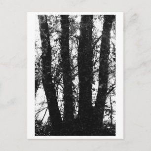 Boom fotografie - Arden Briefkaart