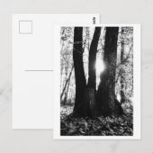 Boom fotografie - Oriana Briefkaart (Voorkant / Achterkant)