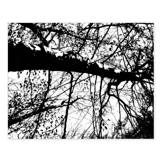 Boom Fotorubberstempel Rubberstempel (Afrduk)