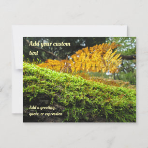Boom gehuld in herfstmos - Persoonlijk Briefkaart