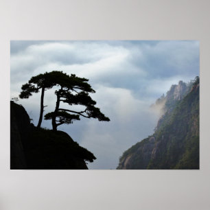 Boom gesilhouetteerd bij zonsopgang, Gele Berg, Poster