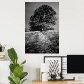Boom gevormd door de wind poster (Thuiskantoor)