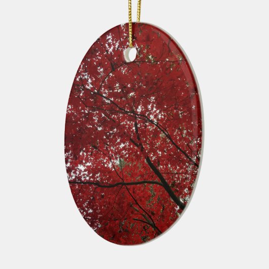 Boom Herfst Season Red Brown Autumn Leaves Keramisch Ornament (Links)